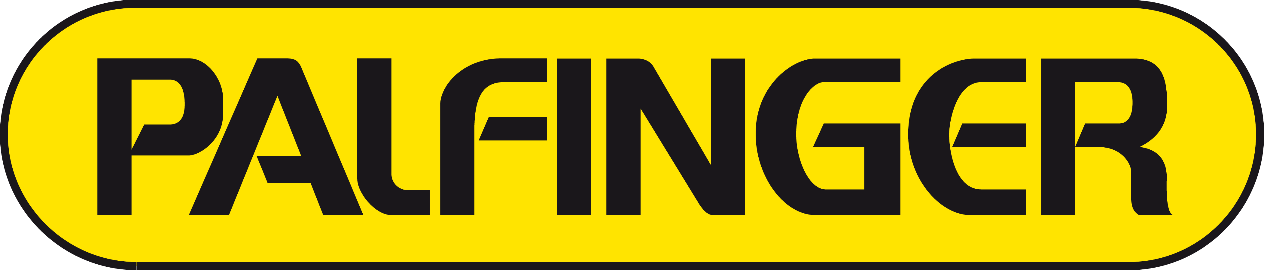 20081004101118Palfinger logo